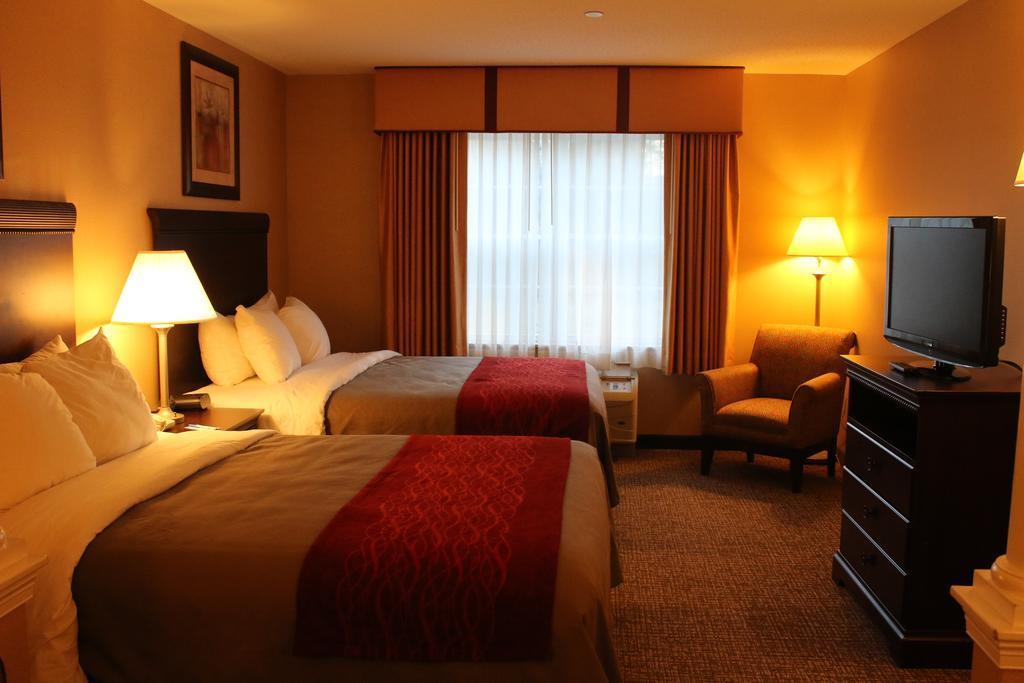 Comfort Inn & Suites Scarborough-Portland מראה חיצוני תמונה